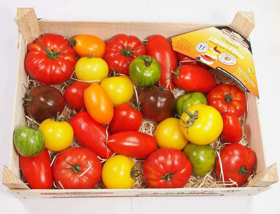 Tomatenvielfalt KW25-26 Tomaten Saveur d' Antan